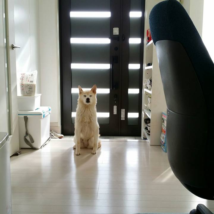 E7113213 5076 4a24 ba71 08c736949588