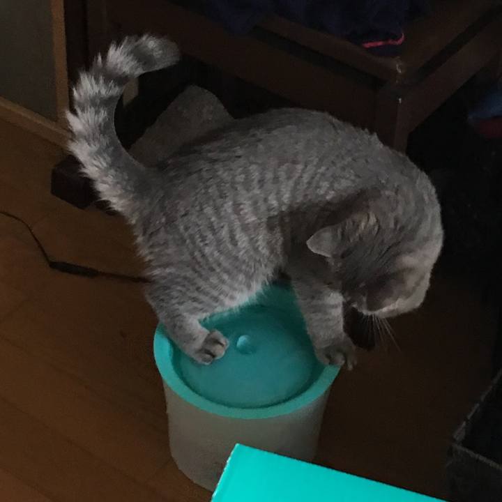 E7117282 de07 4eda bb4c ff6556900f79