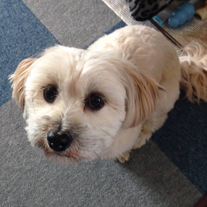 E7118fe9 1f26 4616 a949 043a03d848ae