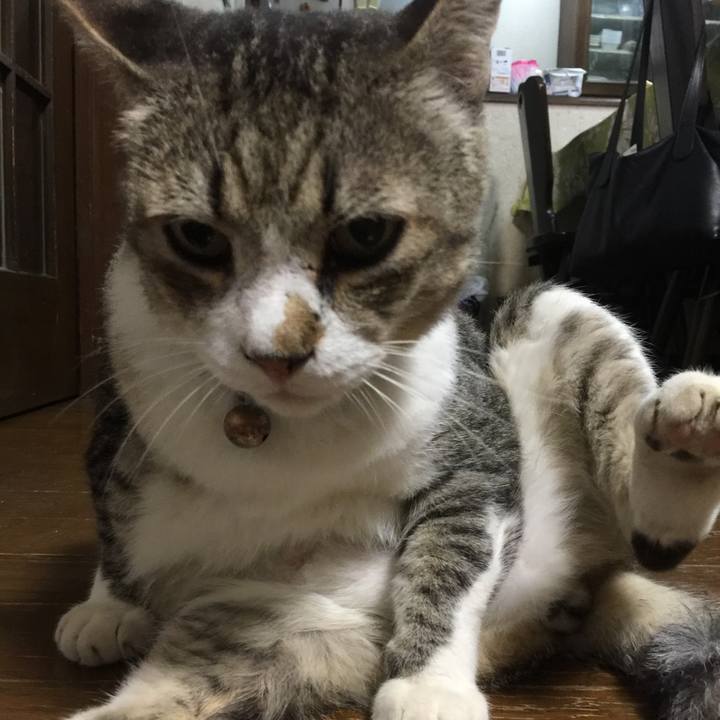 E7124c02 2bc2 4b04 8465 3a236479128f