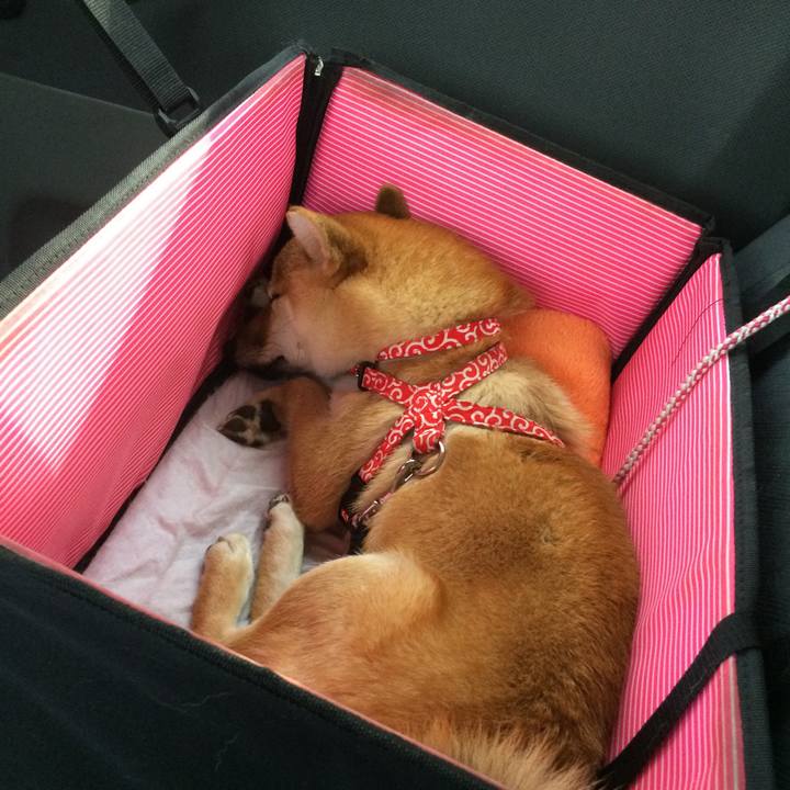 E7129463 d591 4a83 906d eb9f2d004be1