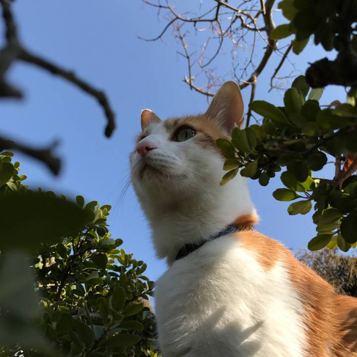 E713aaf9 af77 47ab 9a79 7fa16b09f2ac