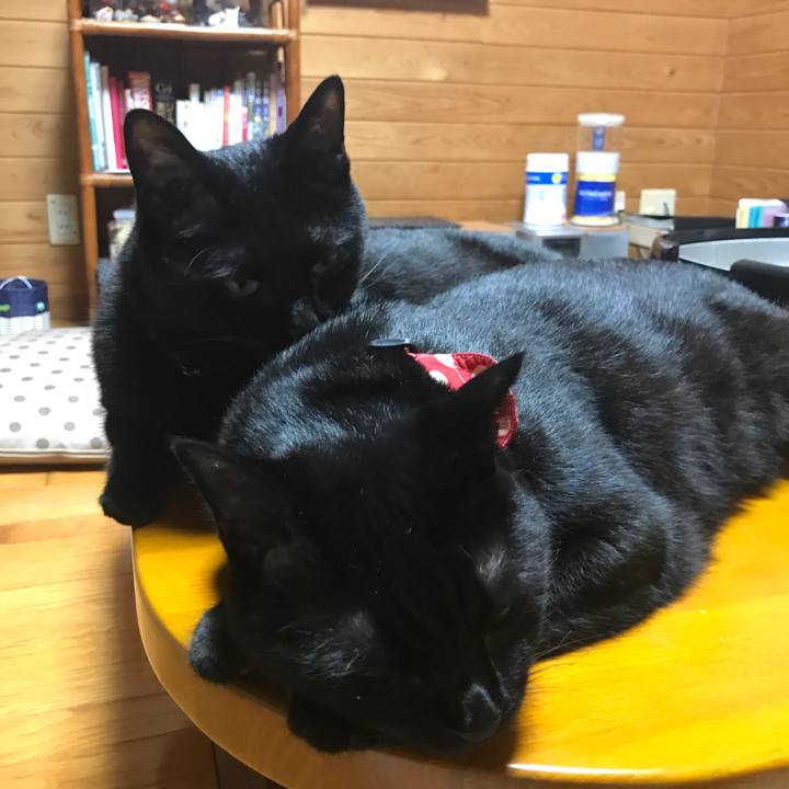 E71438eb 3920 419e 89f4 a5e839a4b097