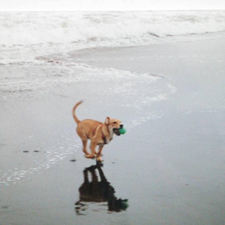 E7145876 987b 4035 993b b164e10e34fa