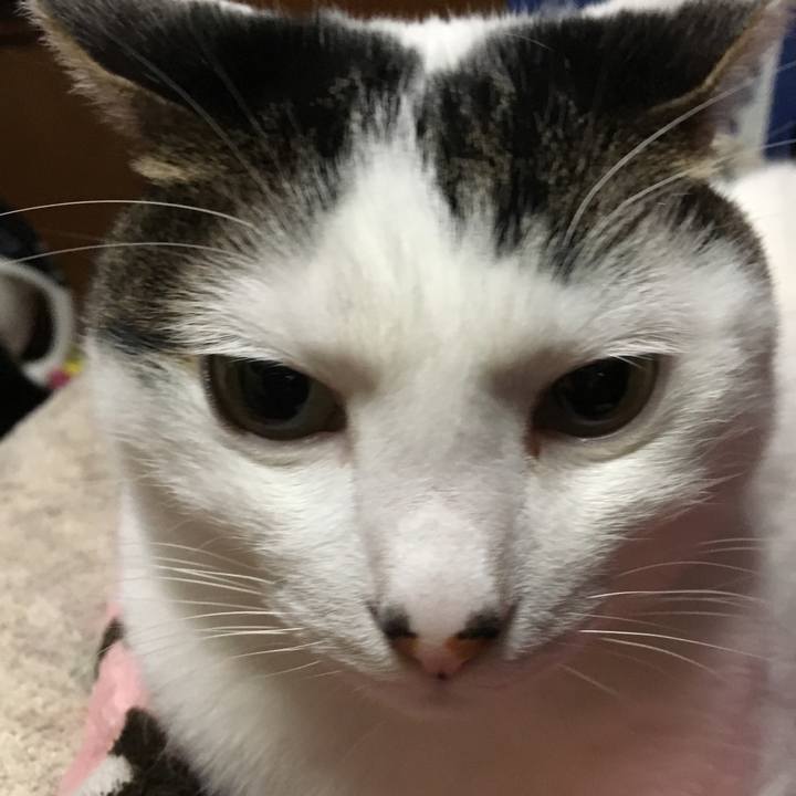 E715076e cba6 4e25 9422 6999e9b554d1