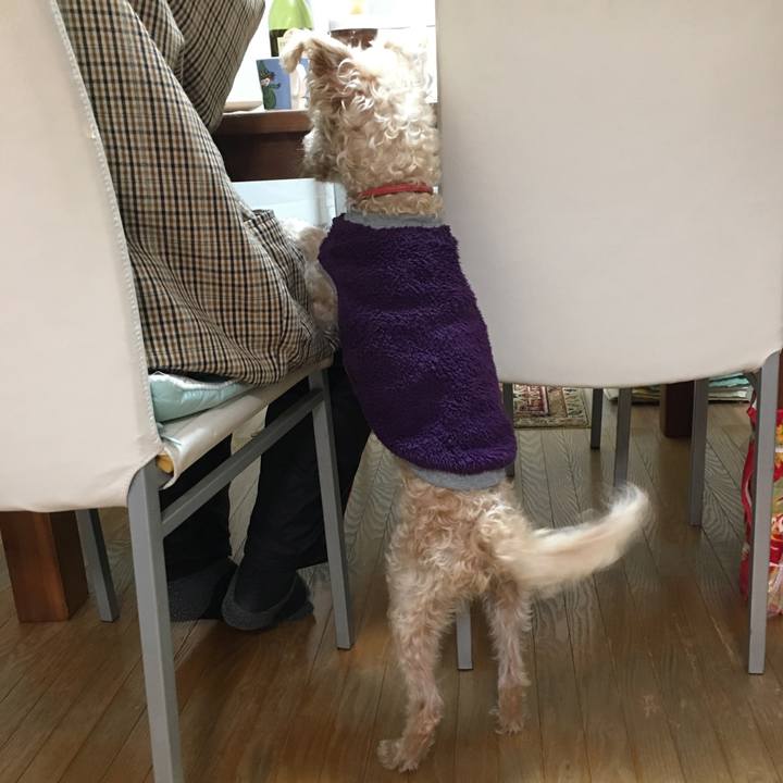 E7152ab6 95ed 4367 ba87 2d6606688115