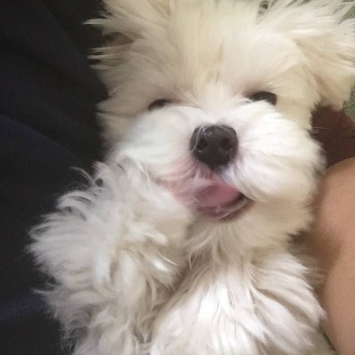 E7163238 fc27 4c0e abf1 e648457d00b7