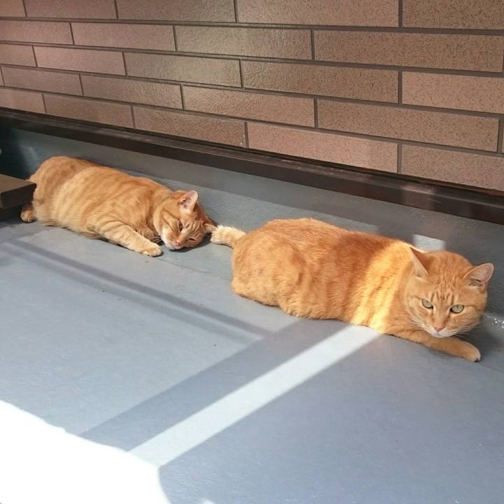 E716571b a86a 4ca5 8826 d26663f3be58