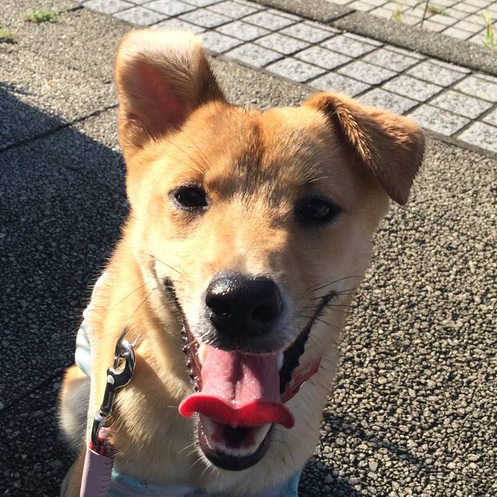 E7166e97 decf 4e93 b5d6 9533f22ba366