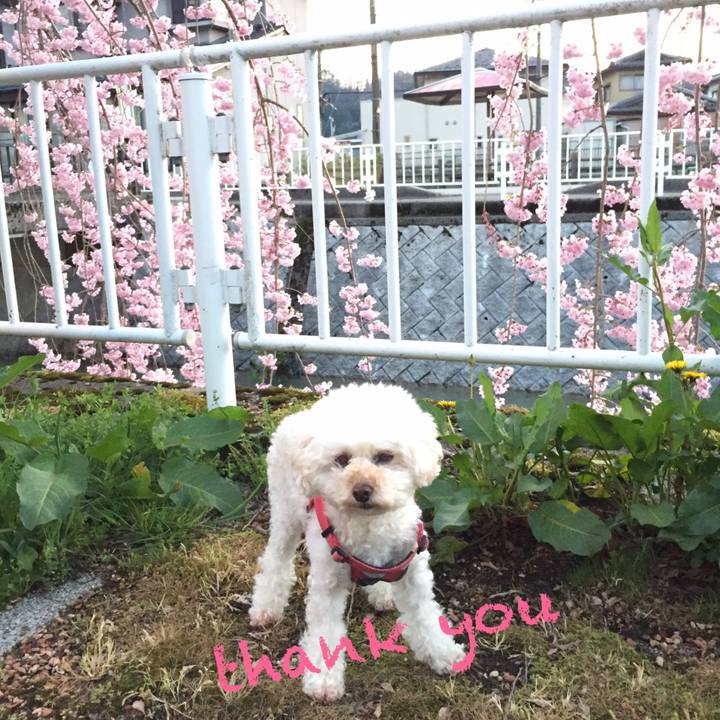 E7169e5a 1ba3 4b5f abfa 7ebad311737e