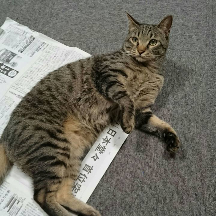 E716f122 f8f9 4652 a3d2 4f3353e217a8