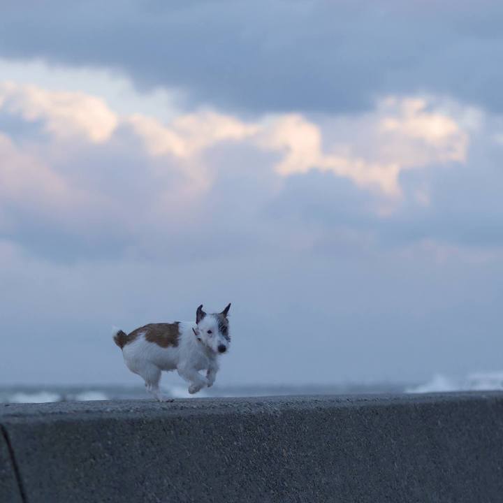 E716f300 5f46 4bee b6aa b0494ff18fb9