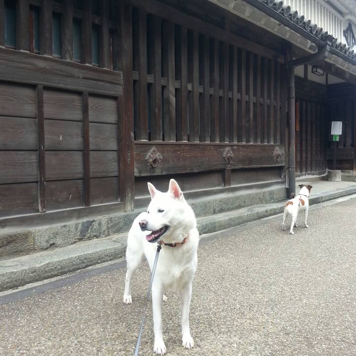 E718afbb e3ce 4a6d bda9 91313d3442f5