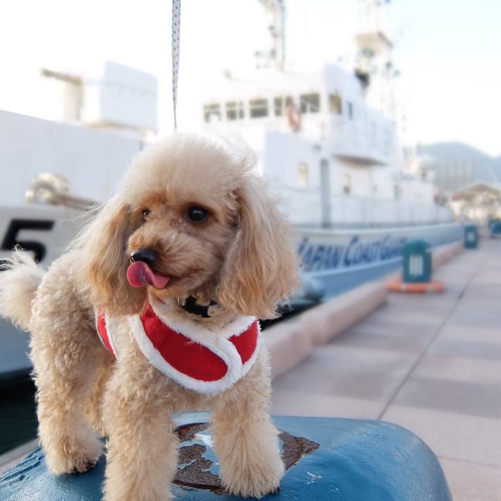 E7194d24 47b4 4384 98b1 1ae0c75b25b0