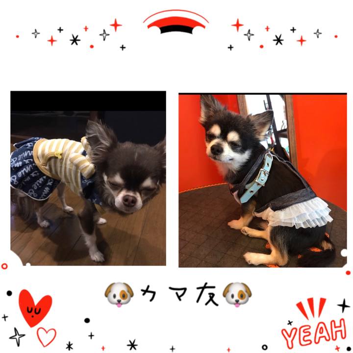 E71950b8 b8e6 41ee a9f2 cb76e514188a