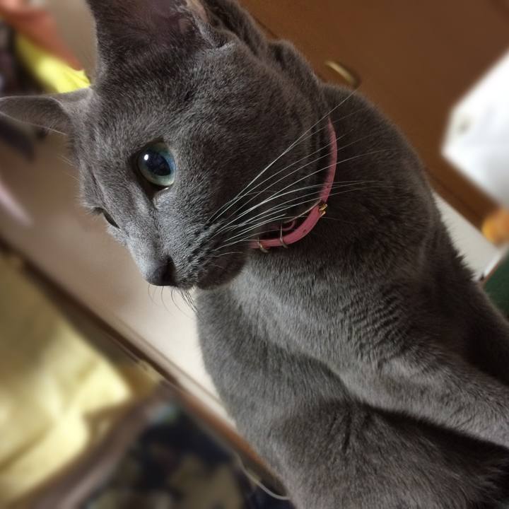 E71956b5 fb05 457f 89fa e95bde2acd35