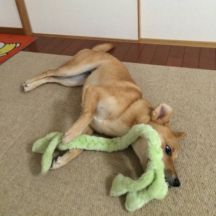 E719d48d 8c97 4529 a2e9 eee7cc59a41c