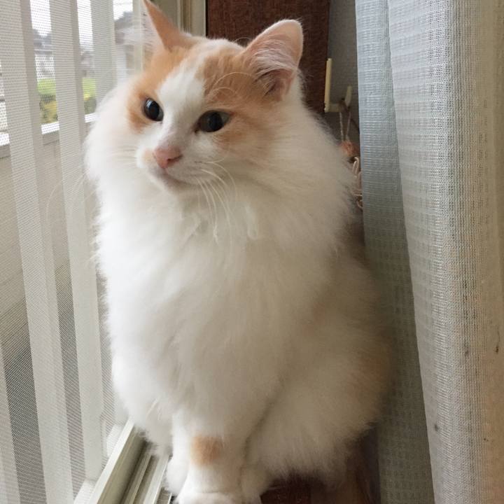 E71a2aaf 965f 4d9e a6df 0030484d10bf