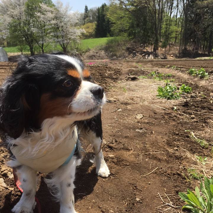 E71a8fff c750 4e26 9ef2 3564d4e07bf9