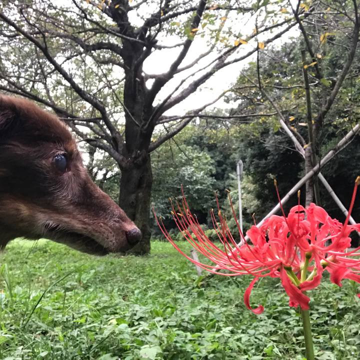 E71ad711 ae2a 4a84 919c 46b28ae2e664