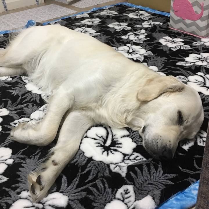 E71b8d19 5d1a 4f2d ae8d dfea647ca659