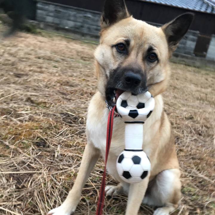 E71bc46d 0420 4a6b ba38 7a33e4851123