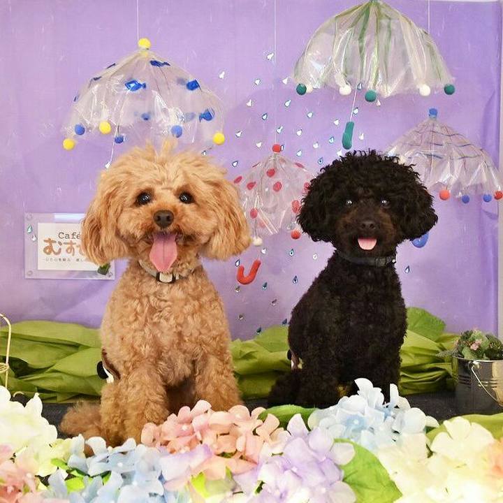 E71c4eef c6e2 46a2 9ee3 51f55f35910f