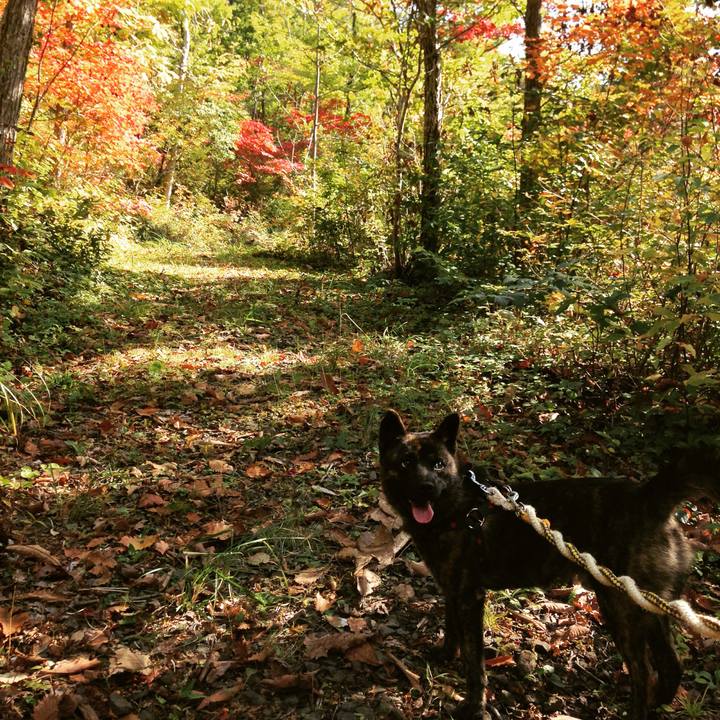 E71c5aa2 ceab 420b 94a8 a7b0fcecf4f2