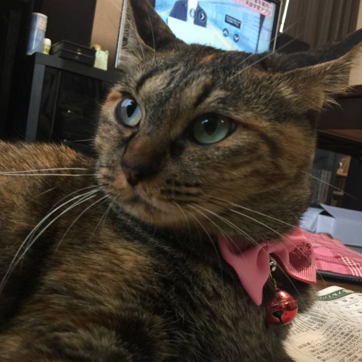 E71c7d4b 732b 4b50 b108 f02fa96554ae