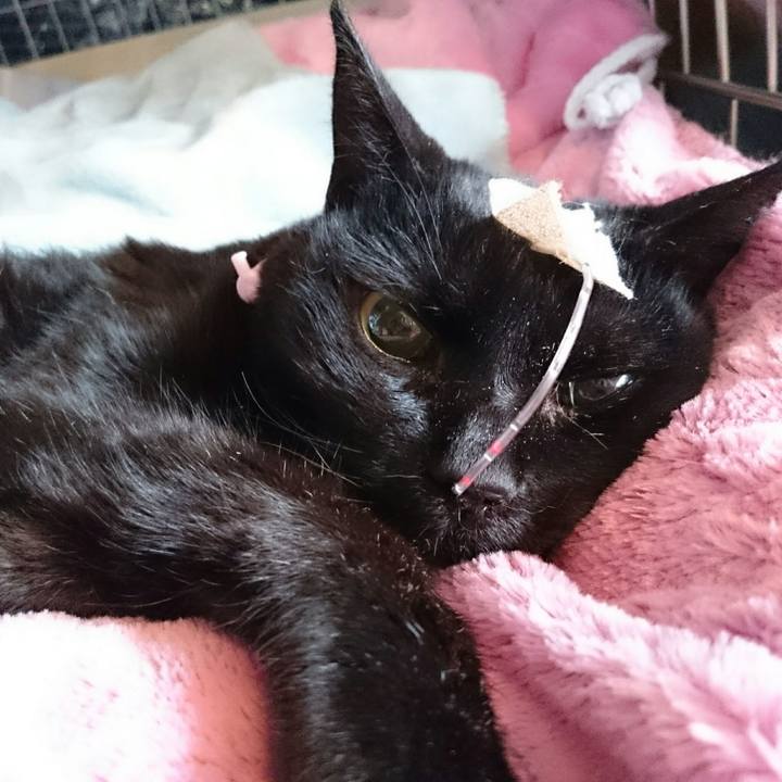 E71c9014 eb52 416a 9ac6 0b75359ad014