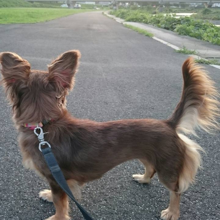 E71ca110 2b78 440b 8f59 aa6649c53fb5