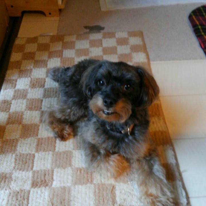 E71d03a4 5000 4bc4 8fda f69615b9e4c7