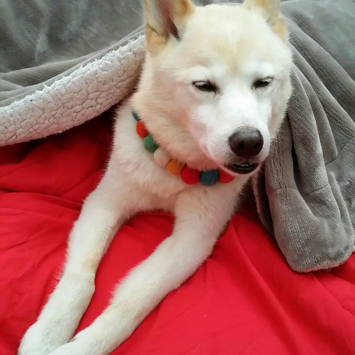 E71d8113 a546 4ca2 aa93 017c0d5fc80c