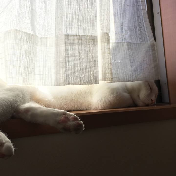 E71ddacc 5c04 45d3 a22e 1d2e514cc7b1