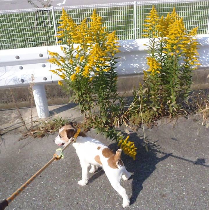 E71e1657 2d30 47b4 8462 145238e5d787