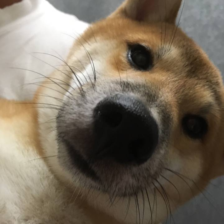 E71e7153 6a92 4225 96bd 07cdd711bd7f