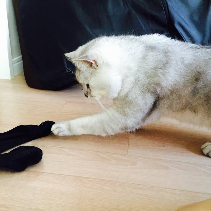 E71ee97e ab3d 4895 baae 1cd4b5670b5b