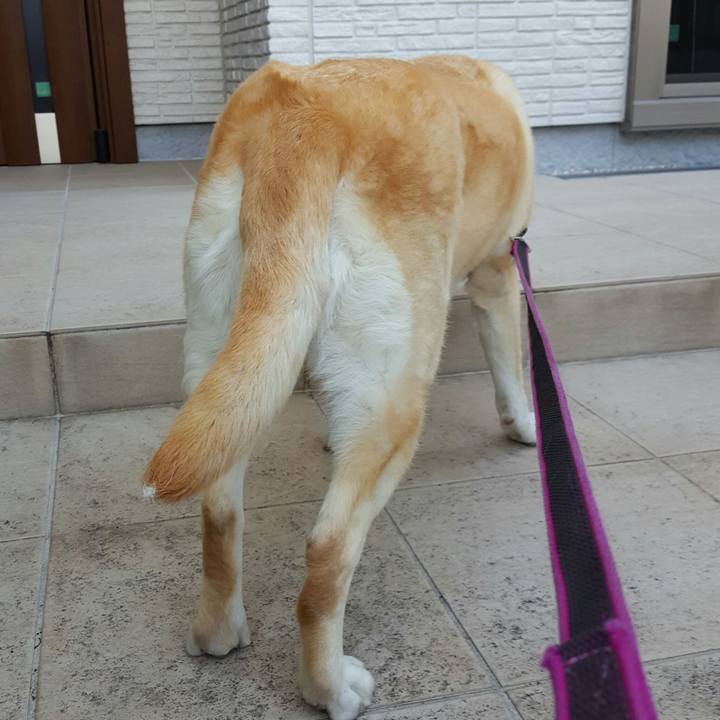 E71f3522 800f 4b20 81d3 1434593a734f