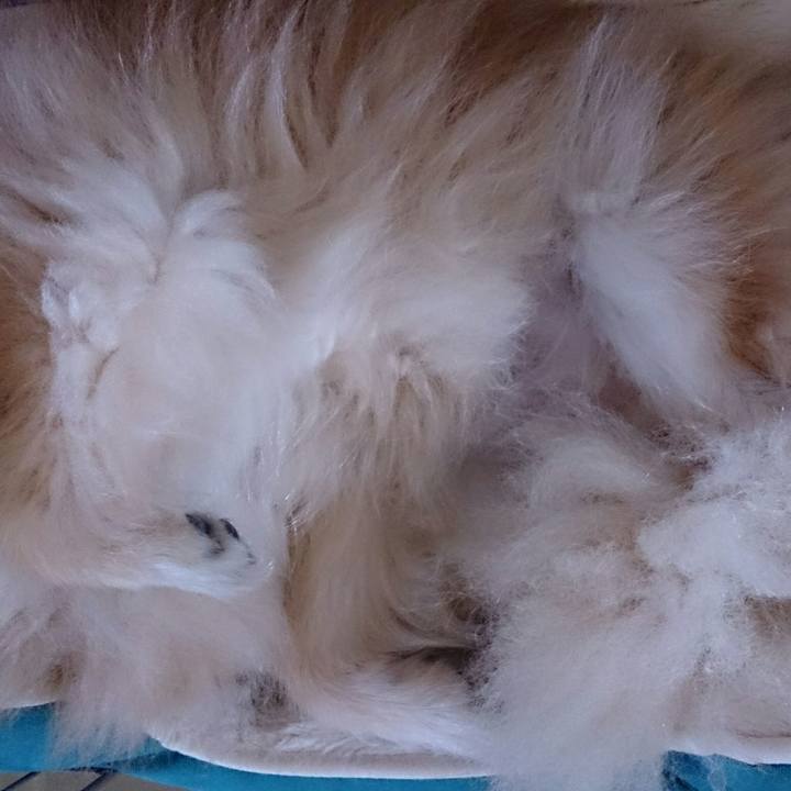 E71fd2f1 d182 4234 95a9 10645a13499b