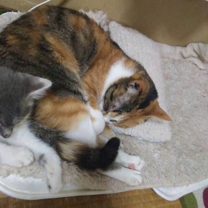 E7200a38 fe57 46cd a3f1 3689898cd82e