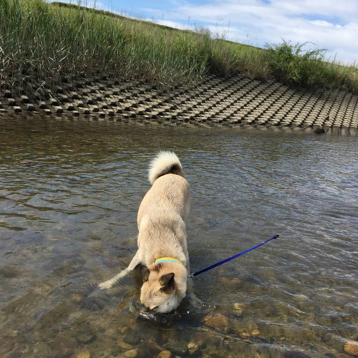 E720247a 5dc9 48ad 8d77 ed277e5e8f7a