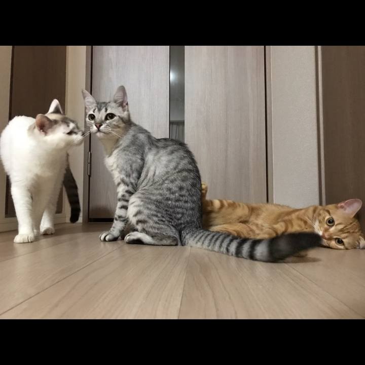 E7210c5d 7770 4082 bfb7 69dbdbae84ca