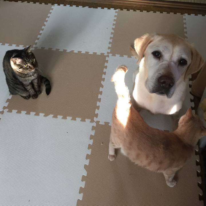 E7214af9 d570 41c8 93d0 ffb1456d3c98