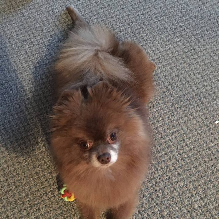 E72151de 9e0c 4935 a9bd 100492dac2ce