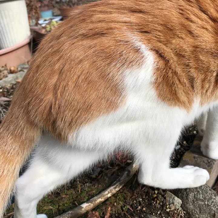 E72154bc 7548 45ea 9761 146d1dd30b96