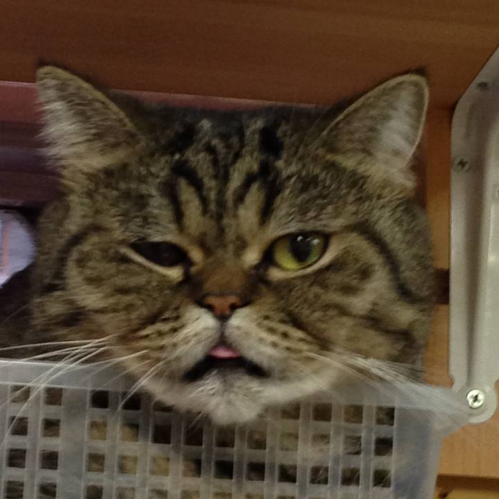 E721bb24 becf 4cd7 944b 0e6bdecb73d6