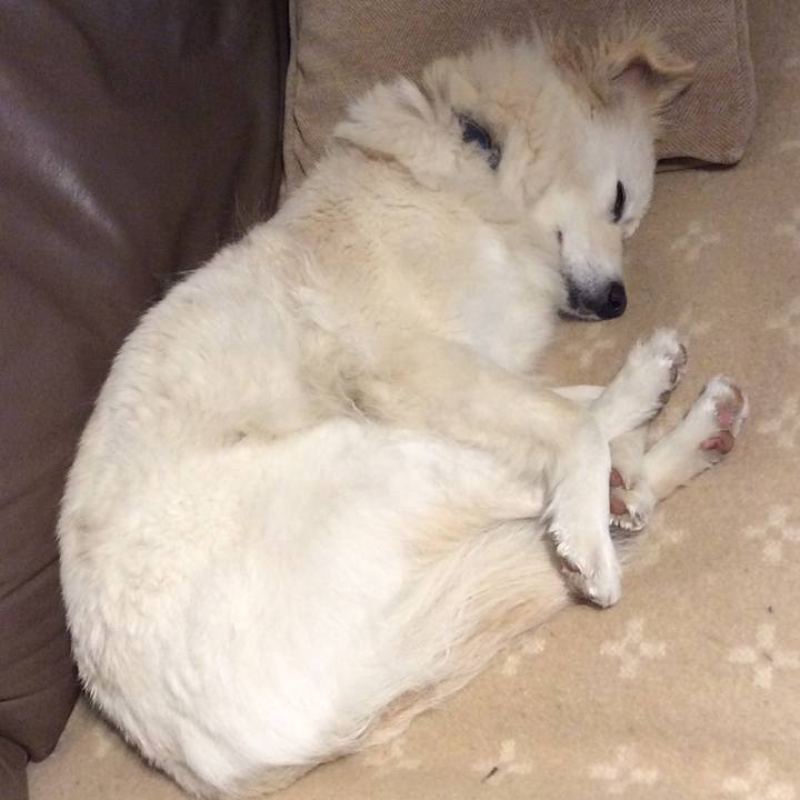 E721d612 b626 49cb b5b3 40a31607f93b