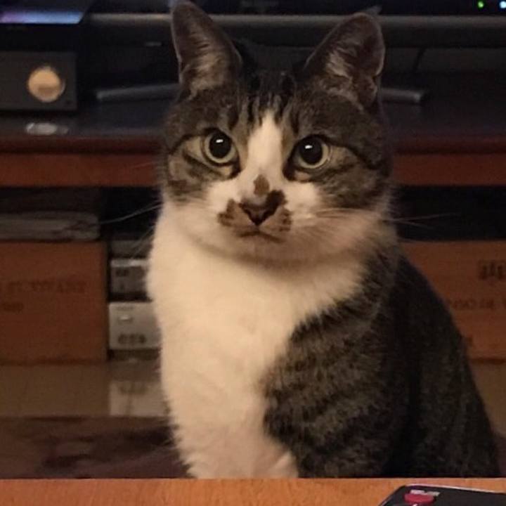 E721db73 f9ef 4ea7 99a8 972155d1e39e