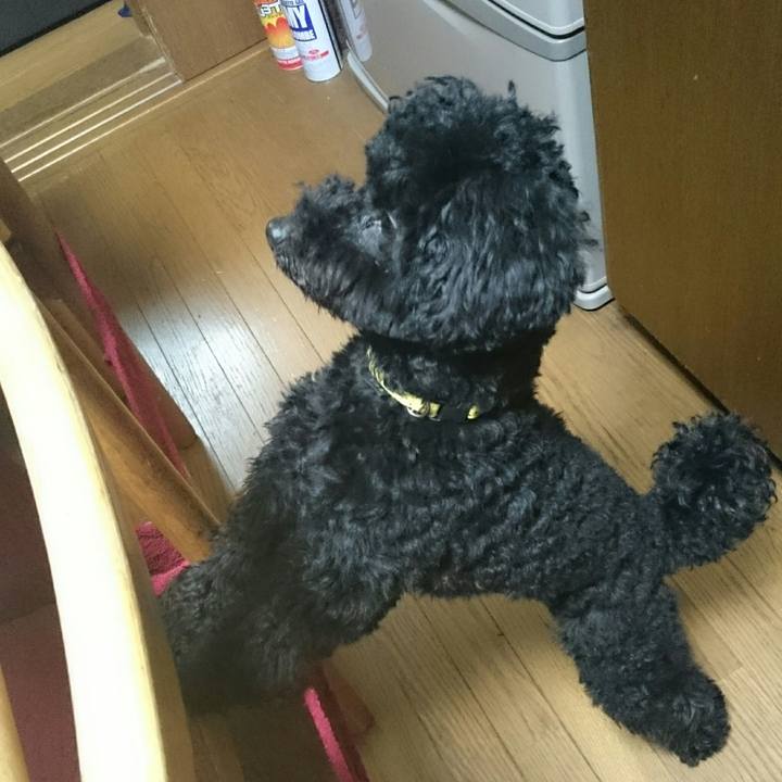 E72202d2 5ac2 4f71 b774 07943a347747