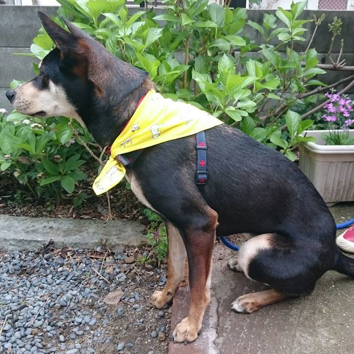 E7223788 f0ad 44e8 8580 c7f646a57103